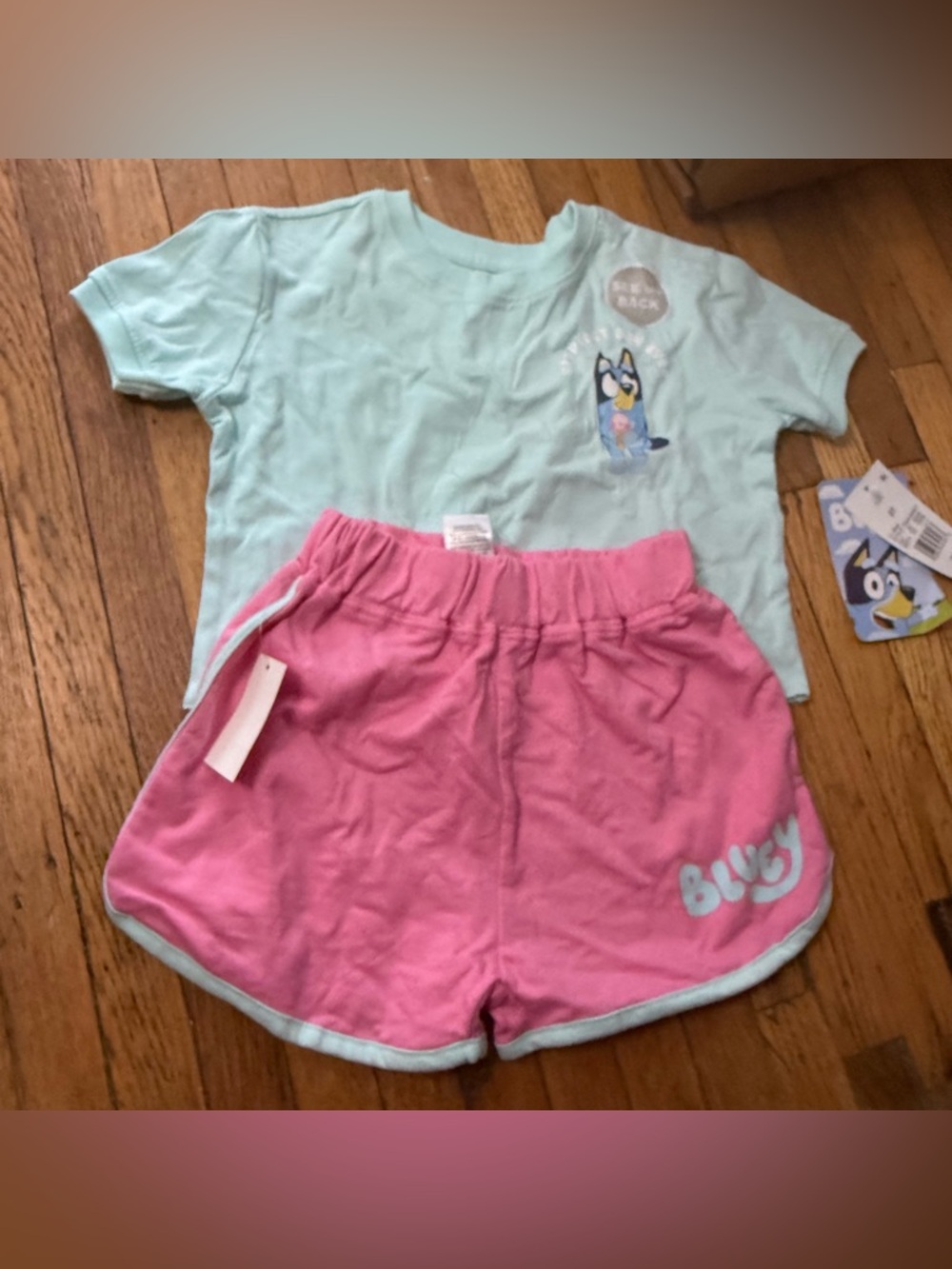 Bluey Toddler Girls’ Tee and Shorts Set - Aqua Top & Pink Shorts - Size 2T